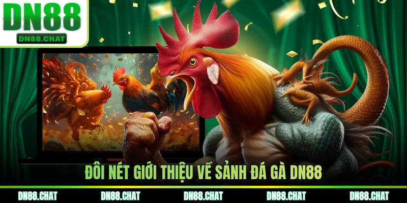 Đôi nét giới thiệu về sảnh đá gà DN88